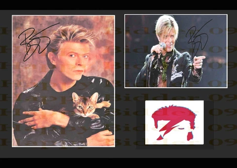A3 Size Card Mounted Signed David Bowie With Cat Awesome Pictures Cover