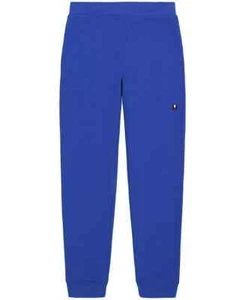 Tommy Hilfiger Tomas Pull-On Joggers Big Boys L (16-18) Surf The Web Embroidered - Picture 1 of 17