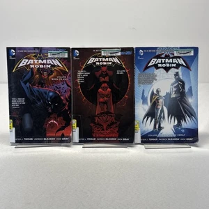 Batman and Robin Vol 1 - 3 TPB Graphic Novel - Imagen 1 de 24