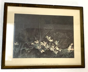 Vintage Andrew Wyeth "May Day" Art Print 14" x 18" Framed 1960 - Picture 1 of 10