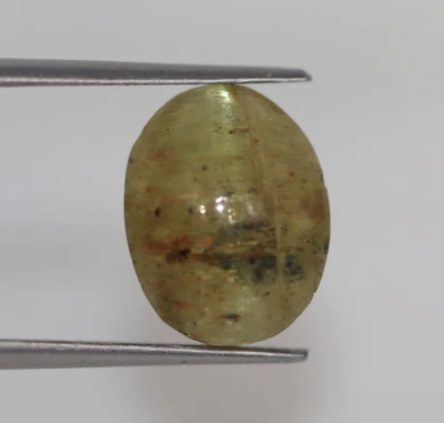 CERTIFIED Green Cat’s Eye Natural Chrysoberyl Translucent Loose Gemstone 8.30 Ct - Image 1 of 4