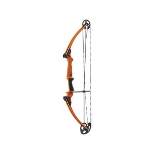 Genesis Original Bow, Lightweight Archery Compound Bow, Left and Right Hand O... - Picture 1 of 9