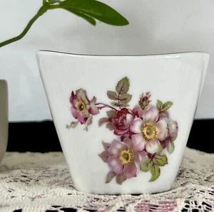 Vintage Gerold Porzellan Tettau Bavaria West Germany Small Vase Wild Rose - Imagen 1 de 8