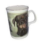 Sheltonian China English Bone China Dobermann Hund vergoldet Kaffeebecher Teetasse
