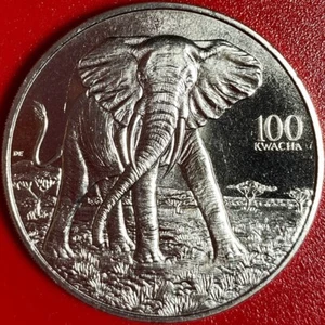 1997 ZAMBIA 100 KWACHA BULL ELEPHANT RARE AFRICAN WILDLIFE CROWN CU-NI no silver - Picture 1 of 6