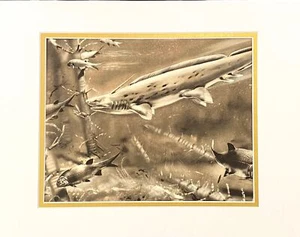 NEW MAT Prehistoric Shark PLEURACANTHUS AND AMBLYPTERUS Sepia Print Burian 1963 - Picture 1 of 4