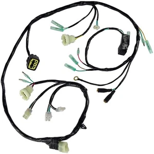 Caltric Wiring Harness For Honda Sportrax 250 TRX250EX 2X4 2001-2005 New - Picture 1 of 7