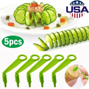 5pcs Spiral Slicer Portable Potato Carrot Kitchen Vegetable Fruit Cutter Tools - Picture 1 of 15