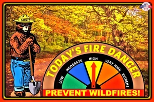 FIRE DANGER SIGN GAUGE ADJUSTS! 8"x12" METAL FOREST SERVICE ONLY YOU SMOKEY BEAR - Picture 1 of 3