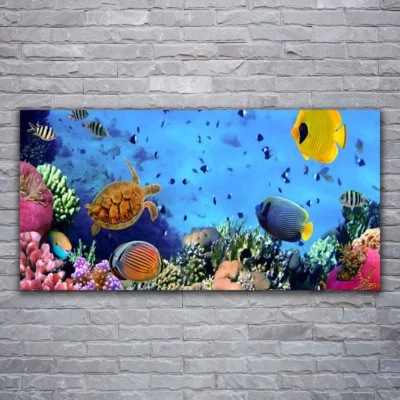 Wandbilder Glasbilder Druck auf Glas 120x60 Korallenriff Natur - Bild 1 von 4