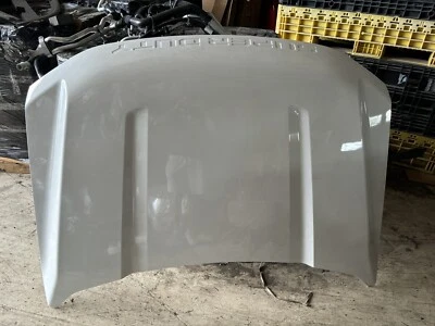 Ford F-250/F-350 Super Duty 2023-2024 capó OEM estrella blanco metálico (AZ) Foto 1 de 4