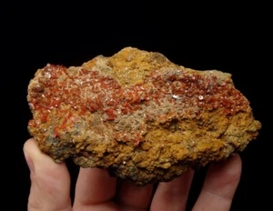 WULFENITE red crystals & big specimen !!! -- CHINA - Kuruktag Mountains /pk882 - Picture 1 of 14