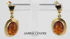 Italian Made German Baltic Amber 9ct Solid Gold Drop Earrings Ge0001 Rrp£395!!!