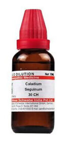 Dr Willmar Schwabe India Caladium Seguinum Dilution 30 CH 30ml