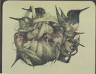 Marco Mazzoni ""Kolibris"" Skizzenbild auf einer Kunsttagebuchseite: Rahmen
