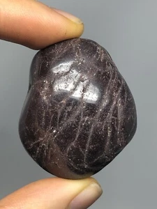 Garnet Polished 2.6oz Natural India Gemstone Health Vitality Reiki N25 - Picture 1 of 12