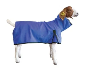 Goat Blanket, Medium, Blue - Picture 1 of 1