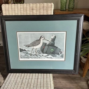 Yvonne Davis Framed Print Etching Bird Numbered 41/200 Signed Cape Caution - Picture 1 of 9