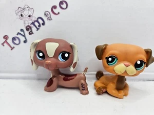 Original LPS Littlest Pet Shop Dachshund #1631 + Pug #1632 AVERAGE CONDITION - Picture 1 of 8