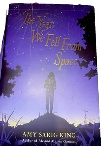 The Year We Fell From Space (SCHOLASTIC GOLD) By Amy Sarig King **BRAND NEW** - Bild 1 von 2