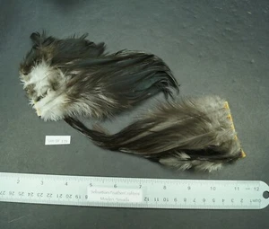 Two Quarter Natural Black Medium Imported Rooster Saddle Pieces Lot-SF 179 - Picture 1 of 7