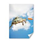 A3 - Cute Frisbee Turtle ny Animal Pets Poster 29.7X42cm280gsm #8315