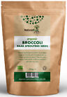  Natures Root Organic Broccoli Raab Seeds - 60g | 125g | 250g | 500g | 1kg | 2kg