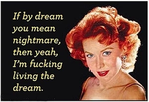 If By Dream You Mean Nightmare funny fridge magnet (ep) - Picture 1 of 1