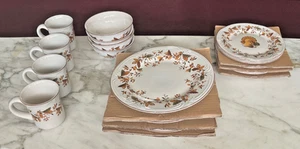 16 Piece Set Pfaltzgraff Autumn Berry - Imagen 1 de 7