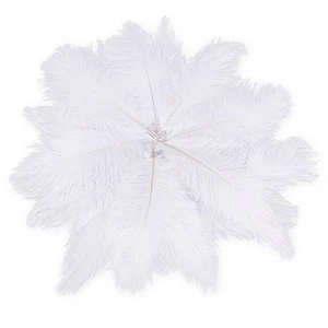 (R)20 x Naturstraussenfeder 25-30 cm Weisse Feste Dekoration Q1D98097 - Picture 1 of 6