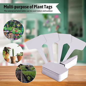 Plant Labels 200Pcs 4 Incht-Type Plant Name Tags Garden Labels Markers Nursery P