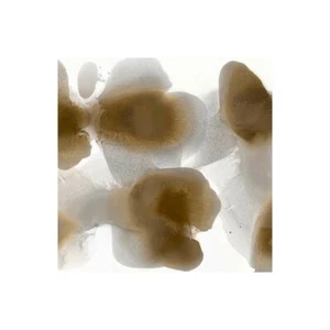 Impresión En Lienzo En Papel Póster O Cuadro Carlson Hannah Perspective I - Imagen 1 de 2