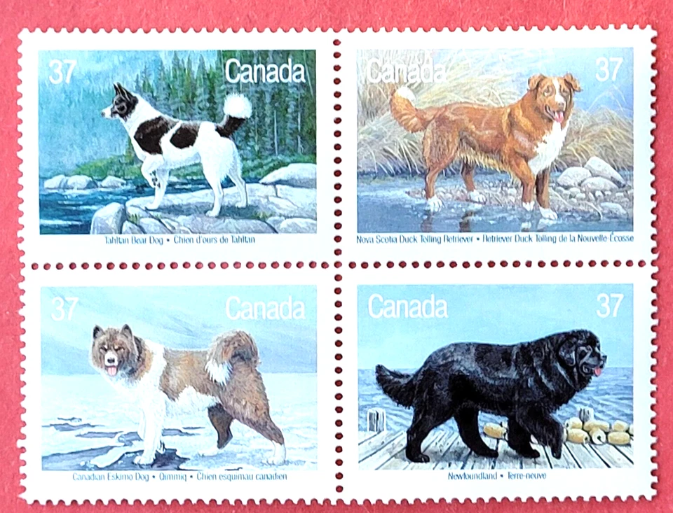 Canada Stamp #1220a (1217-1220) "Dogs of Canada" se-tenant BLK4 MNH 1988 - Image 1 of 1