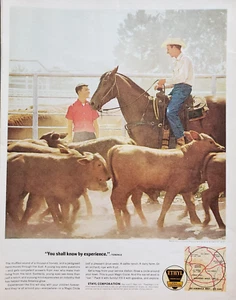 1963 Ethyl Gas Cattle Ranch en el centro de Arkansas foto de Raymond Jacobs anuncio impreso - Imagen 1 de 1