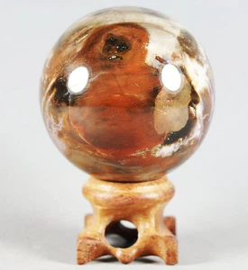 A 234g PETRIFIED WOOD AGATE Crystal With Rose Wood Stand From Madagascar - Picture 1 of 12