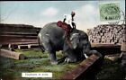 Ak Indien, Elephants at work, Elefant - 3300213