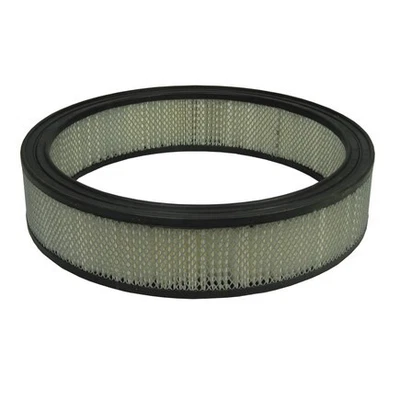 Filtro de aire Ecogard XA74 Foto 1 de 4