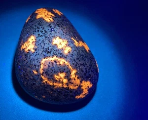 Michigan Yooperlite A + MUSTER - UV fluoreszierend leuchtendes Sodalithgestein - GROSS 5 Unzen - Bild 1 von 7