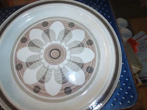 2 Royal China Omegastone FLOWER Pattern USA Brown Tan Dinner Plates - Picture 1 of 4