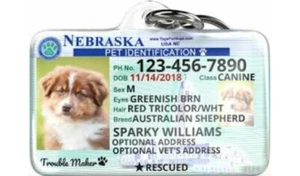 Nebraska Drivers license Dog Custom Novelty Pet Tag FREE SHIPPING SHIPS 1DAY - Picture 1 of 7