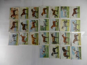 Spieler Zigarettenkarten Pferdesorten 1939 großer kompletter Satz 25 - Bild 1 von 2