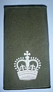 OFICIAL DE LA ORDEN CLASE 2 SARGENTO MAYOR MARFIL EN RANGO OLIVA DIAPOSITIVA - Imagen 1 de 1