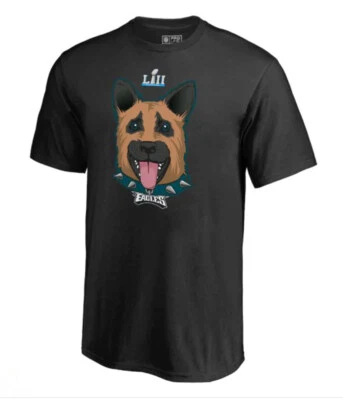 2017 Philadelphia Eagles Super Bowl LII Underdog Youth 短袖 T 恤 — 第 1/2 张图片