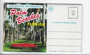 CARPETA POSTAL-PLAYAS DE PALMERAS, FLORIDA - Imagen 1 de 2
