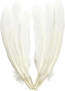 White Feathers,Natural Big Long Goose Feather,8-10 inch (21-25cm),Large Size Bil - Picture 1 of 12