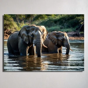 ELEPHANT'S A2 5MM FOAMBOARD African Animals Wall Art Photo Prints 420mm x 594mm - Picture 1 of 8
