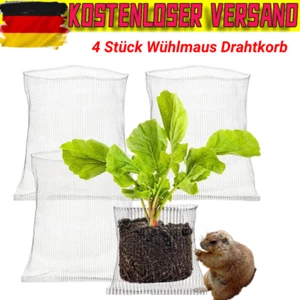 4 Stück Wühlmaus Drahtkorb für Hochbeet Wurzelschutz aus Edelstahl 35X35CM DE - Bild 1 von 13
