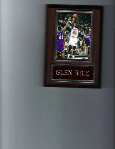 GLEN RICE PLAQUE MIAMI HEAT BASKETBALL NBA Cover