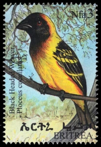 ERITREA 305a - Black-headed Weaver "Ploceus cucullatus" (pb93809) - Picture 1 of 1