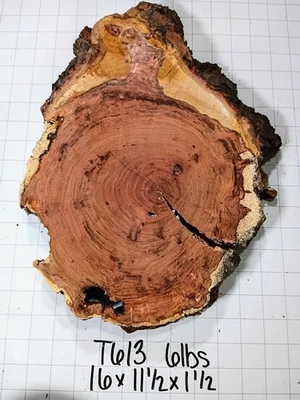 Rebanada de árbol T613 Cherry Burl borde vivo, flameado 16x11x1 1/2 10 % Mc Foto 1 de 2